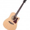Ibanez V80