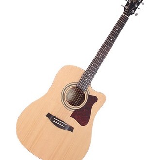 Ibanez V80