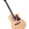 Ibanez V80