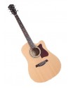 Ibanez V80 ECE Ibanez V80 ECE