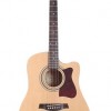 Ibanez V80