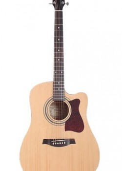 Ibanez V80