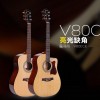 Ibanez V80