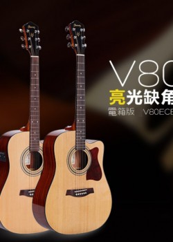 Ibanez V80