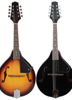 曼陀鈴 Mandolin