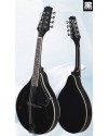 曼陀鈴 Mandolin