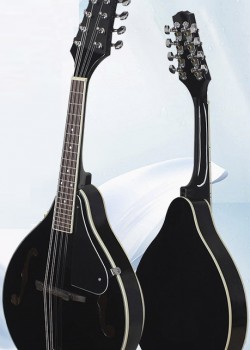 曼陀鈴 Mandolin