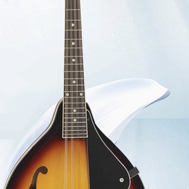 曼陀鈴 Mandolin