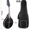曼陀鈴 Mandolin
