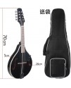 曼陀鈴 Mandolin