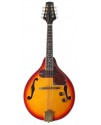 曼陀鈴 Mandolin 電箱款