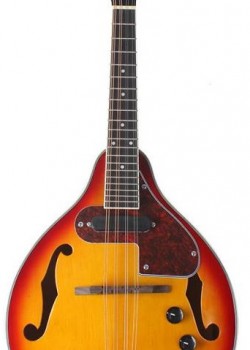 曼陀鈴 Mandolin 電箱款