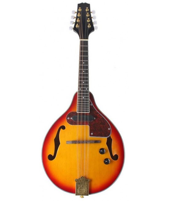 曼陀鈴 Mandolin 電箱款