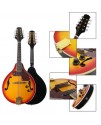 曼陀鈴 Mandolin 電箱款