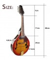 曼陀鈴 Mandolin
