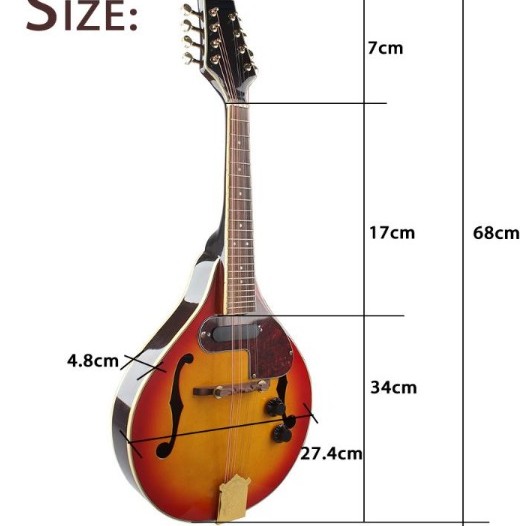 曼陀鈴 Mandolin