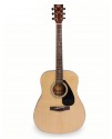 YAMAHA F-310