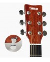 YAMAHA F-310