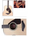 YAMAHA FG-830
