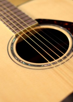 YAMAHA FG-830