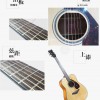 YAMAHA FG-800