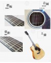 YAMAHA FG-800