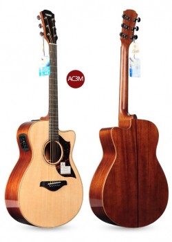 YAMAHA A3R / A3M / AC3R / AC3M 電箱木結他