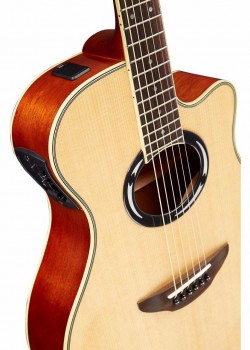 Yamaha APX500 III