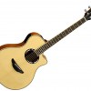 Yamaha APX500 III