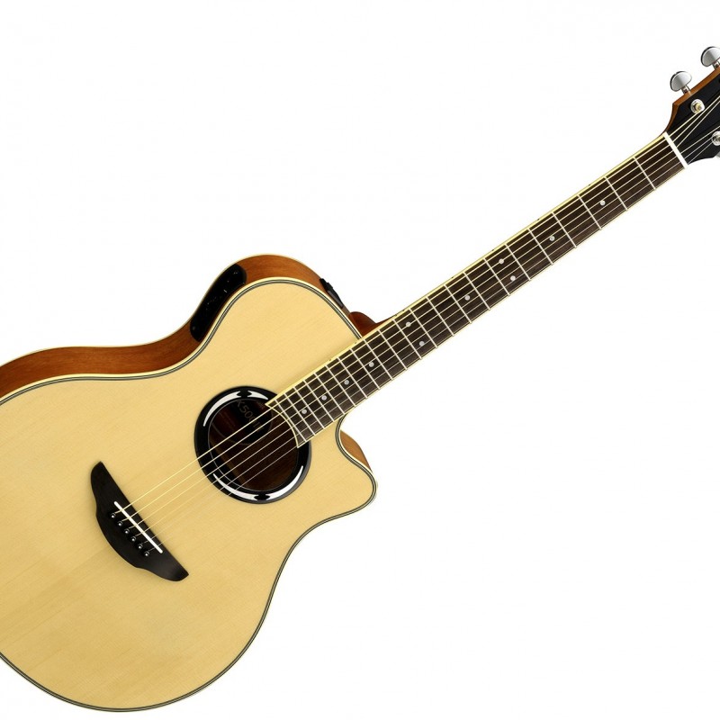 Yamaha APX500 III