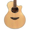 Yamaha APX500 III