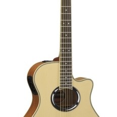 Yamaha APX500 III