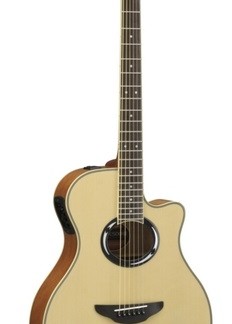 Yamaha APX500 III