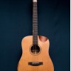 CALVIN SANG CS-7 半缺角手工單板木結他