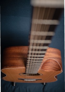 CALVIN SANG CS-7 半缺角手工單板木結他