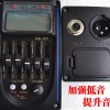 CALVIN SANG CS-41 ECE 民謠電木結他