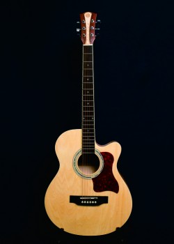 CALVIN SANG CS-1