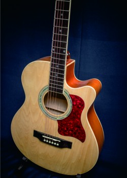 CALVIN SANG CS-1