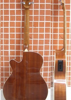 Chard EA-10 4EQ 電木結他
