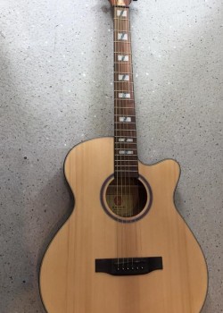 CALVIN Sang CS-40C
