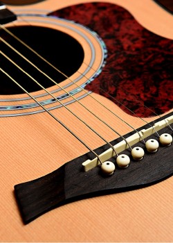 CALVIN Sang CS-41D