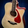 CALVIN Sang CS-41D