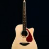 CALVIN Sang CS-41D