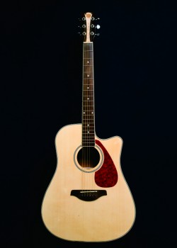 CALVIN Sang CS-41D