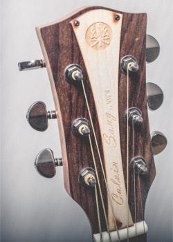 CALVIN Sang PRO TOP CS-T100