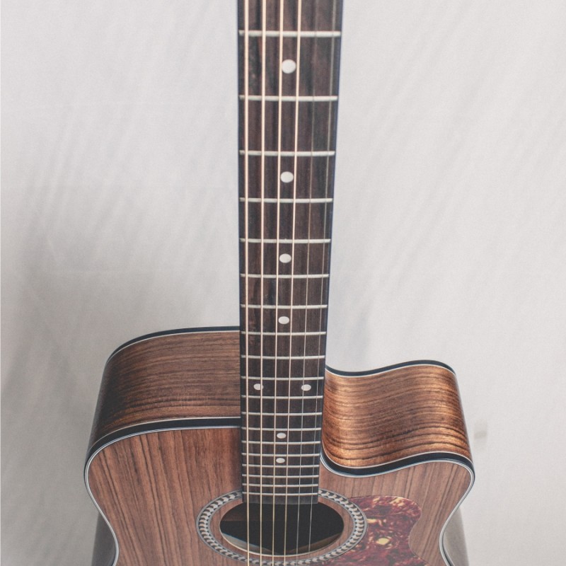 CALVIN Sang PRO TOP CS-T100