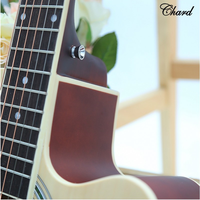 Chard EA-10 4EQ 電木結他