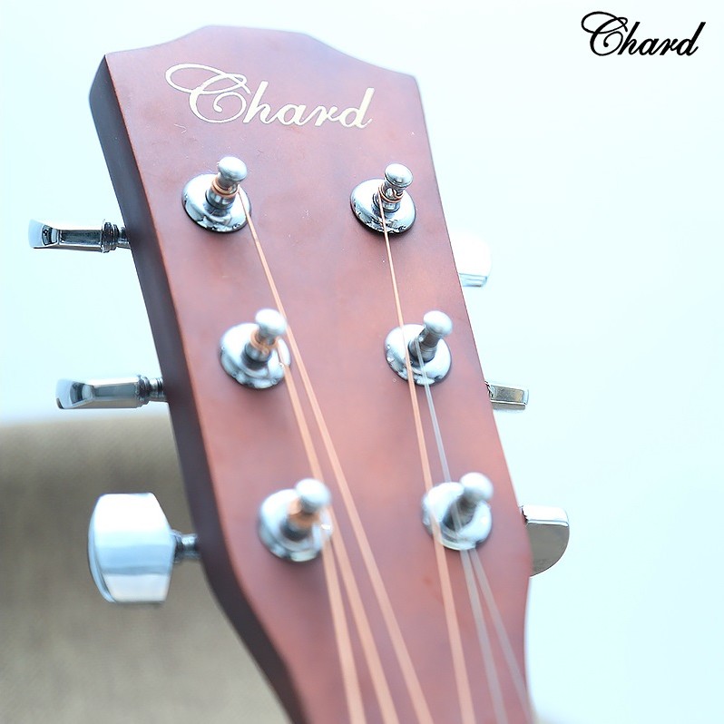 Chard EA-10 4EQ 電木結他
