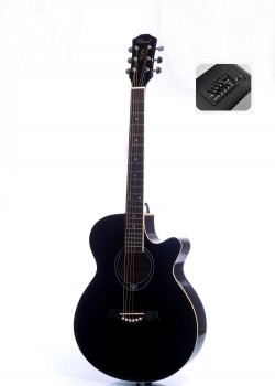 Chards EA10 BK 4EQ 電木結他