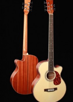 Sqoe B-30 五弦電木低音結他 電木BASS 